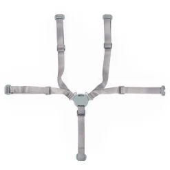 BÉABA Autres Pièces Détachées<Harnais 5-points Evolu - Menthe