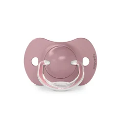 BÉABA Tétines, Sucettes Et Accessoires<Lot de 2 sucettes SX Pro +18m A walk in the park