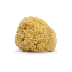 BÉABA Désinfectants Et Nettoyants<Éponge en fibre naturelle