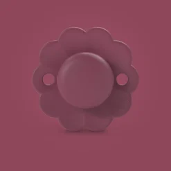 BÉABA Tétines, Sucettes Et Accessoires<Sucette réversible SX Pro 6/18M Wonder